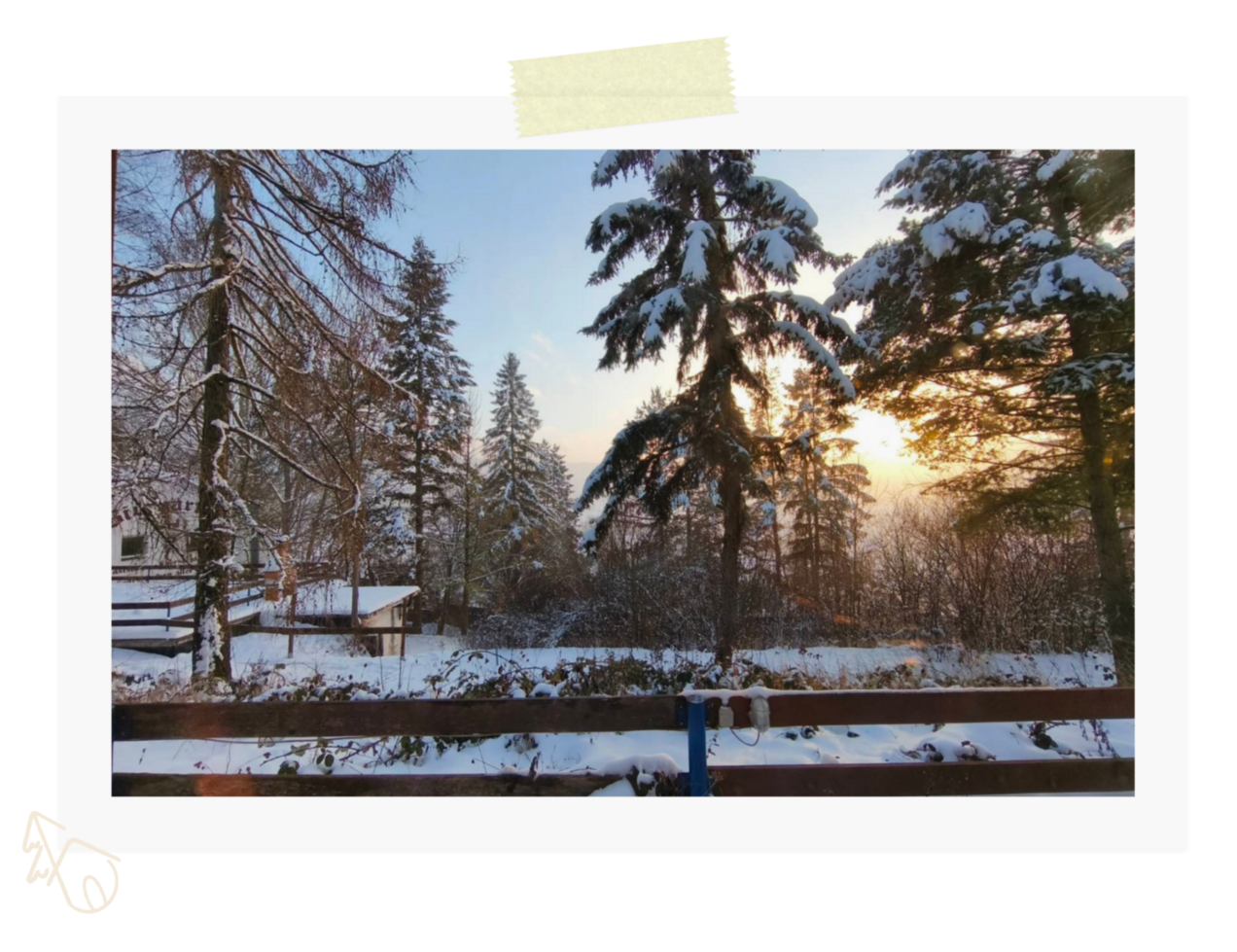 Photobild_Hauptseite_1