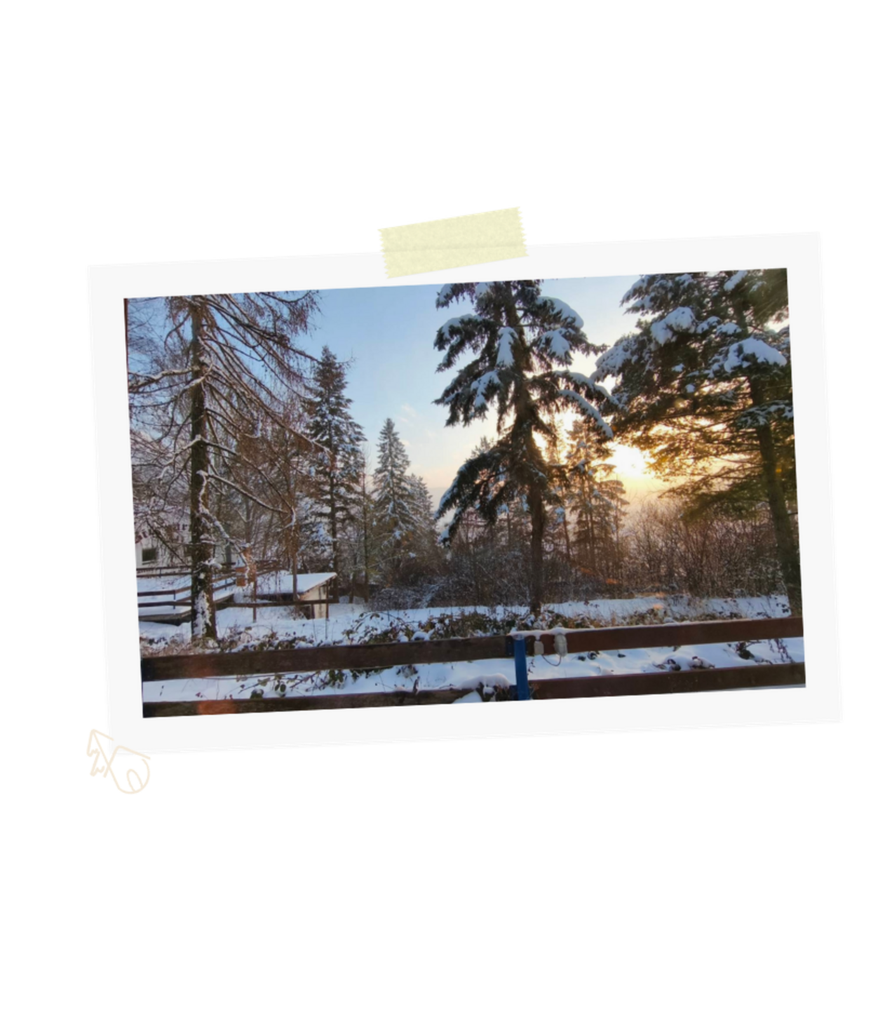 Bild_links_oben